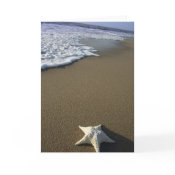 The Beach card
