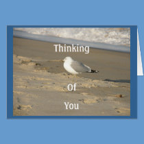 The beach cards