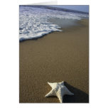 The Beach Card
