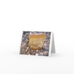 The Beach Comb notecard