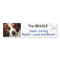 The BEAGLE bumper stickers