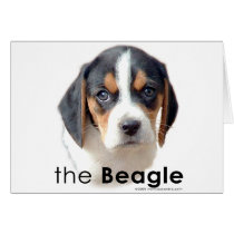 The Beagle cards
