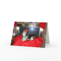 The Beagle Christmas Elf cards