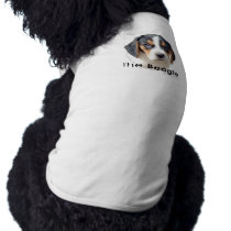 The Beagle pet clothing