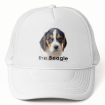 The Beagle hats