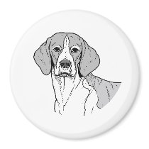 THE BEAGLE MAGNET