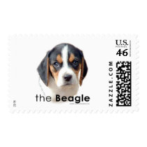 The Beagle stamps