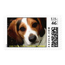 The BEAGLE Postage