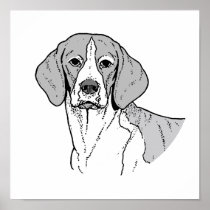THE BEAGLE PRINT