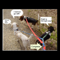 The Beaglez Impersonate Congress postcards