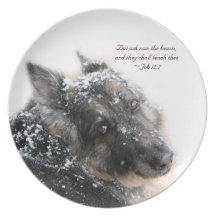 The Beasts Shall Teach Thee - Job 12:7 Party Plates