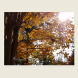 The Beauties of Fall postcards