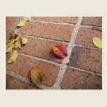 The Beauties of Fall postcards