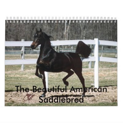American Saddler