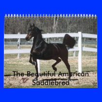 The Beautiful American Saddlebred Calendars