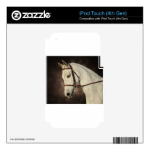 The Beautiful Arabian Skin For iPod Touch 4G