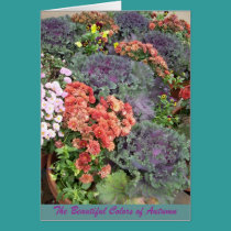 The Beautiful Colors of Autumn cards
