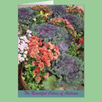 The Beautiful Colors of Autumn cards