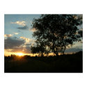 The Beauty In A Sunset posters