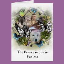 The Beauty in Life is Endless cards