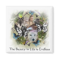 The Beauty in Life is Endless magnets by WhiteOak50 The Beauty in Life is Endless magnets
