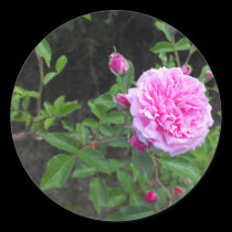The Beauty of a Flower stickers
