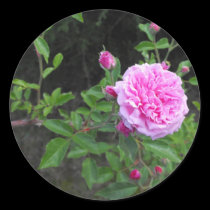 The Beauty of a Flower stickers