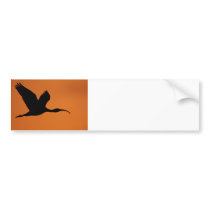 The Beauty of Curves Bumper Sticker