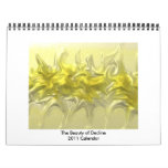 The Beauty of Decline Wall Calendars