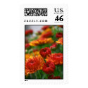 The Beauty of Fall postage