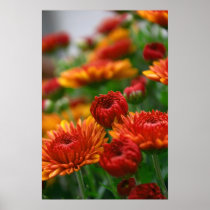 The Beauty of Fall posters