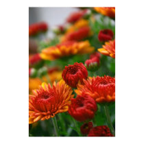 The Beauty of Fall posters
