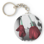 The Beauty Of Gravity Key Chain