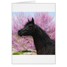 The Beauty of it all Greeting Cards