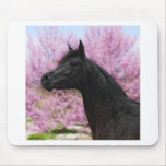 The Beauty of it all Mousepads
