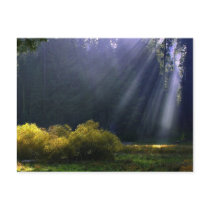 The Beauty of Mother Nature postcards by Natures_Best_Images The Beauty of Mother Nature postcards