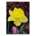 The Beauty of Spring cards