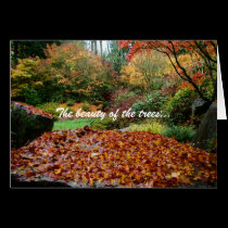 The beauty of the trees... cards