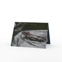 The Beaver cards