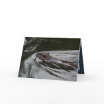 The Beaver Cards