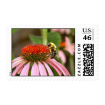 The Bee postage by james48 The Bee postage