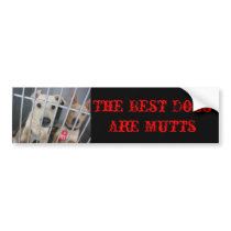 The Best Dogs bumper stickers by romeolover410 The Best Dogs bumper stickers