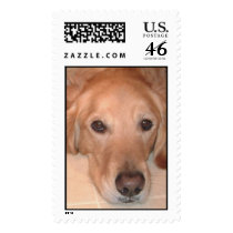The Best Friend postage