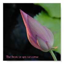 The best is yet to come - lotus posters
