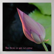 The best is yet to come - lotus posters