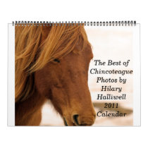 The Best of ChincoteaguePhotos by Hilar... Wall Calendars
