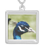 The Best Peacock Necklace The Best Peacock Necklace