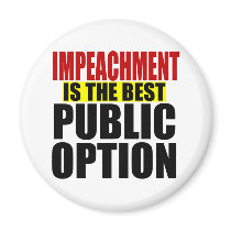 The Best Public Option magnets