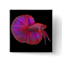 The Betta Pin