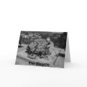 The Bicycle cards